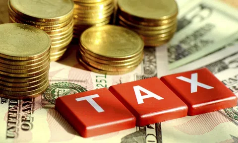 Kiểm tra các lĩnh vực có rủi ro cao về thuế