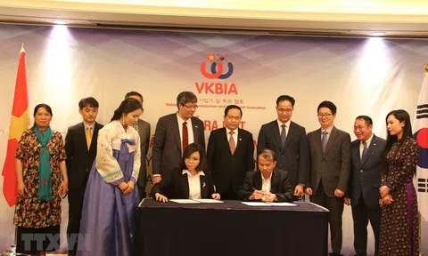 Việt Nam, Hàn Quốc đẩy mạnh hợp tác giáo dục và phát triển nguồn nhân lực chất lượng cao