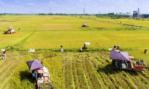 “Trụ đỡ” nông nghiệp - Vẫn cần thêm trợ lực