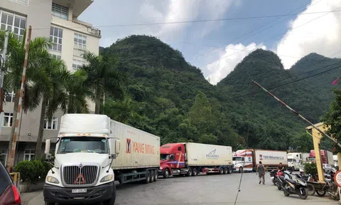 Lạng Sơn đẩy nhanh tiến độ dự án Khu trung chuyển hàng hoá