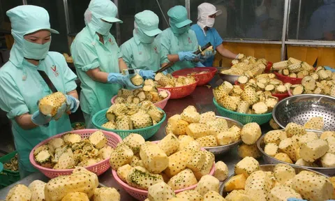 Đề xuất bổ sung về hỗ trợ và phát triển doanh nghiệp giai đoạn 2021-2025