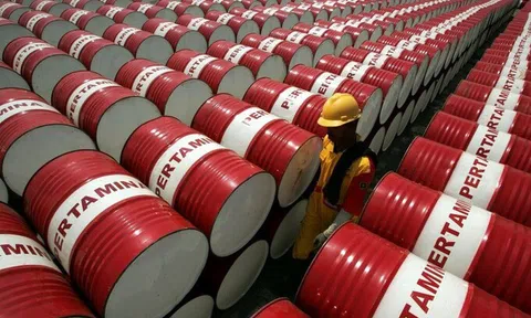 Quyết định của OPEC+ giúp giá dầu thế giới ổn định trên ngưỡng 81 USD/thùng