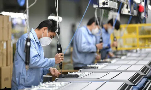 Ngày Doanh nhân Việt Nam: Không vì sóng cả mà ngã tay chèo