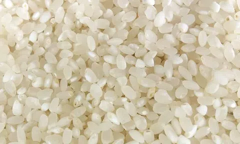 Dẻo thơm hương nếp Tú Lệ