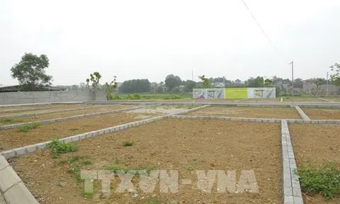 Vi phạm quản lý đất đai, một doanh nghiệp bị thu hồi hơn 220 ha đất