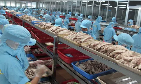 Dịch COVID-19: Doanh nghiệp chế biến thủy sản duy trì sản xuất an toàn