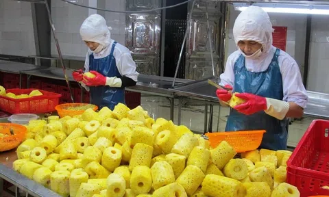 Đảm bảo chất lượng nông, lâm, thủy sản xuất khẩu: Quản lý theo chuỗi giá trị